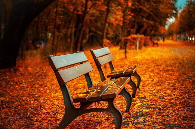 Seasonal Themes